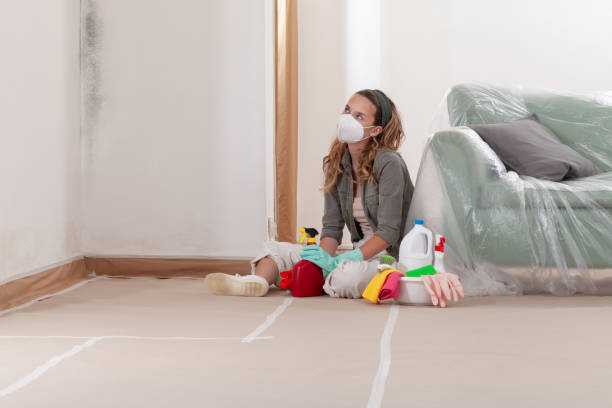 Reliable Mold Cleanup contractor in Cedar Grove, FL by WQB Mold Removal